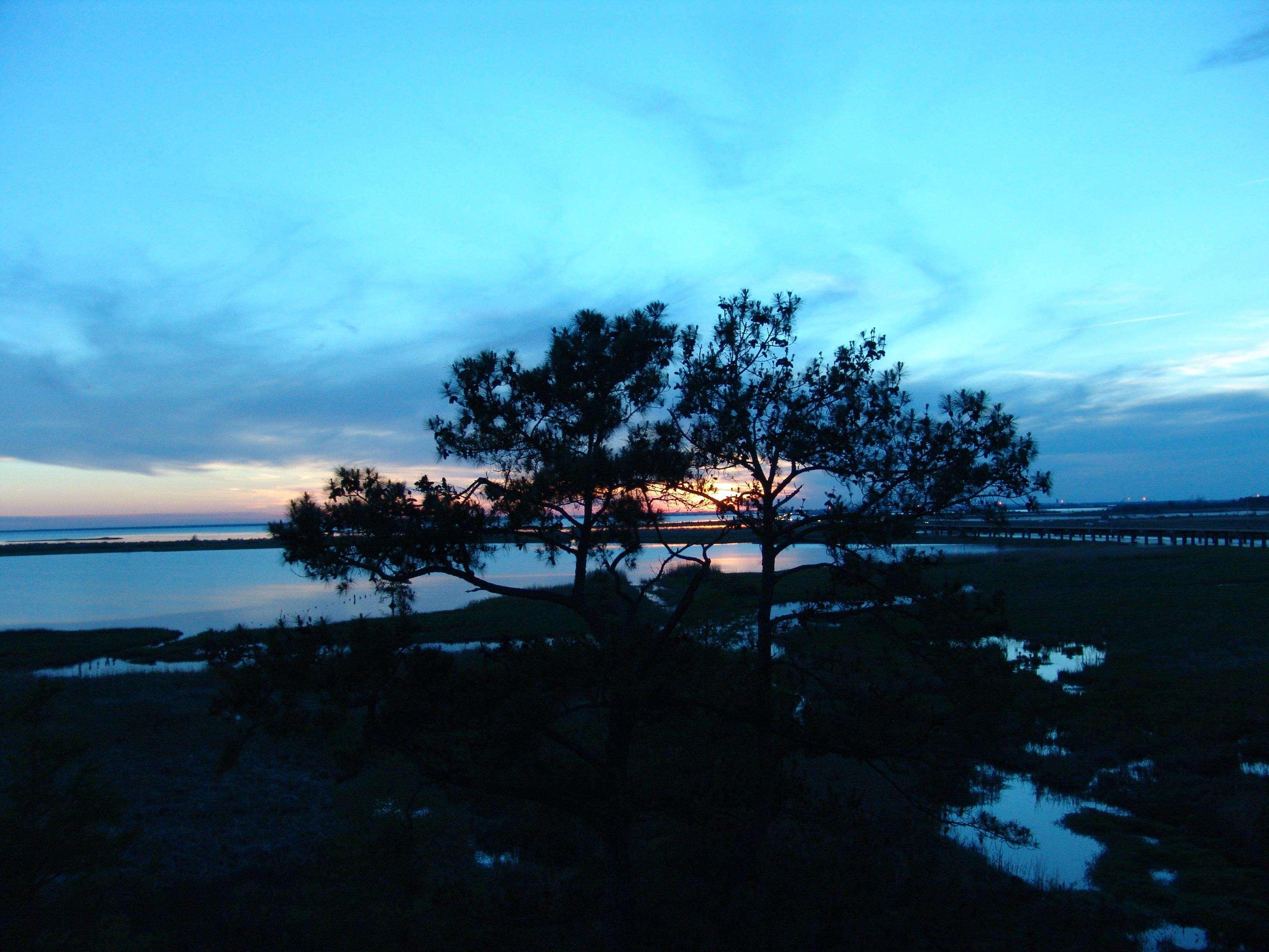Hampton Inn Mobile/East Bay Daphne Dış mekan fotoğraf